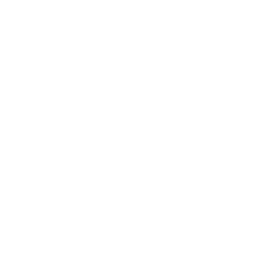 Custom Logo